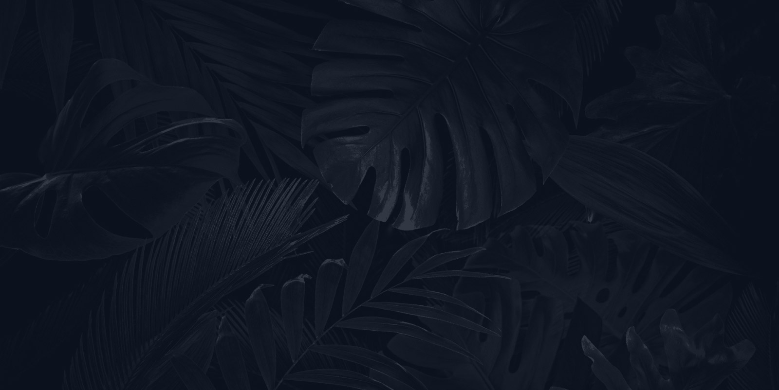 Tropical Hub