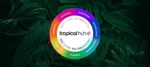 7 Anos de Tropical Hub
