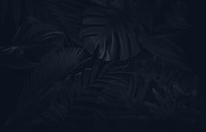 textura-preto
